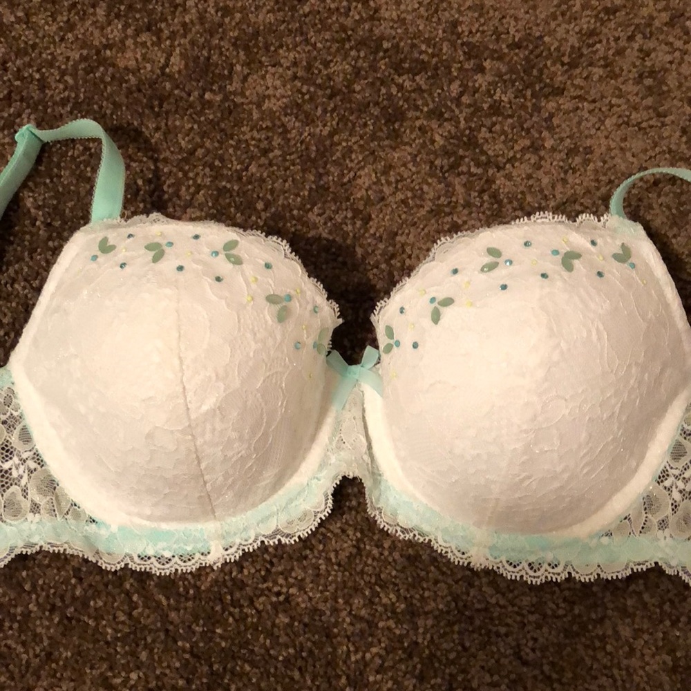 NWOT VS DEMI BRA